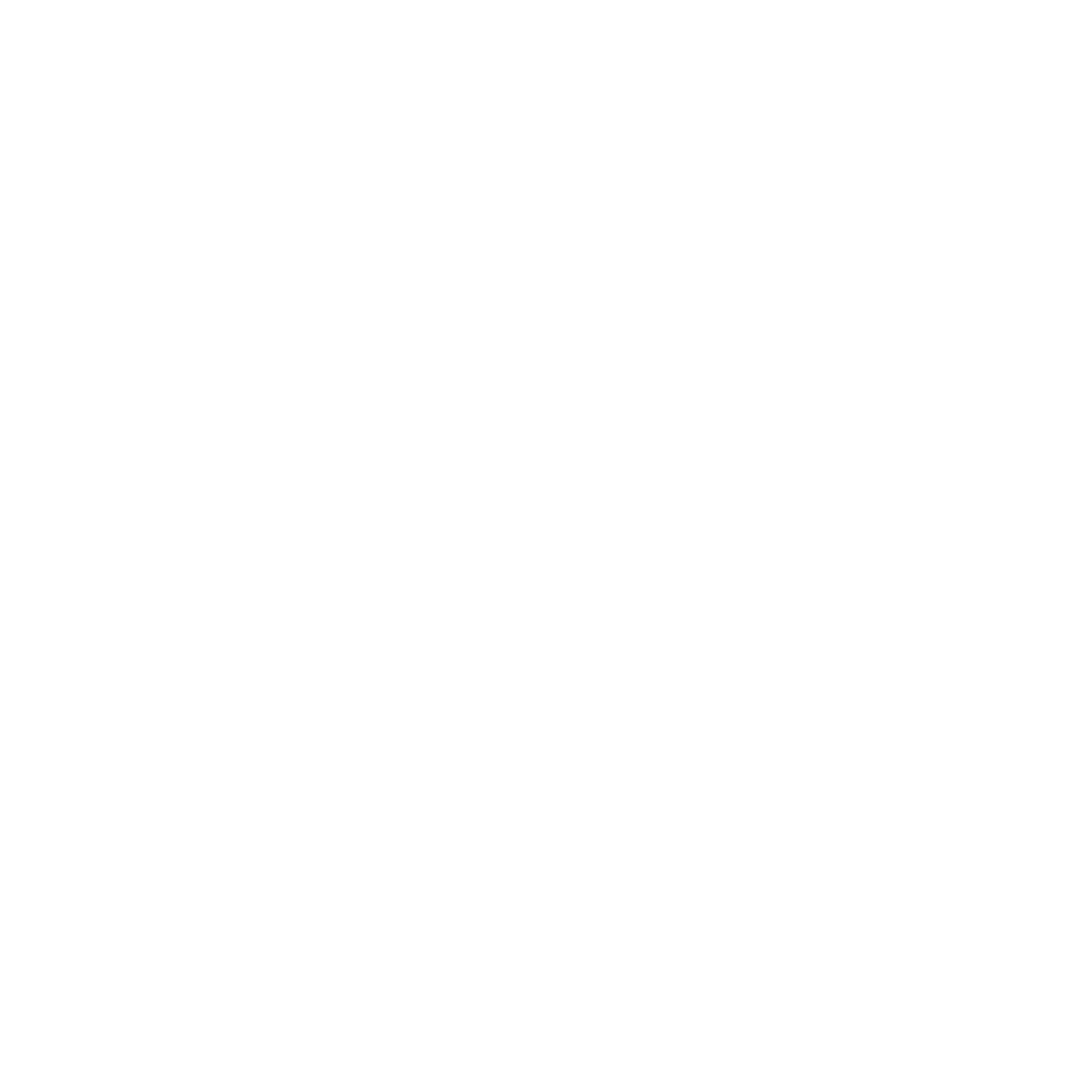 White Linkedin Logo